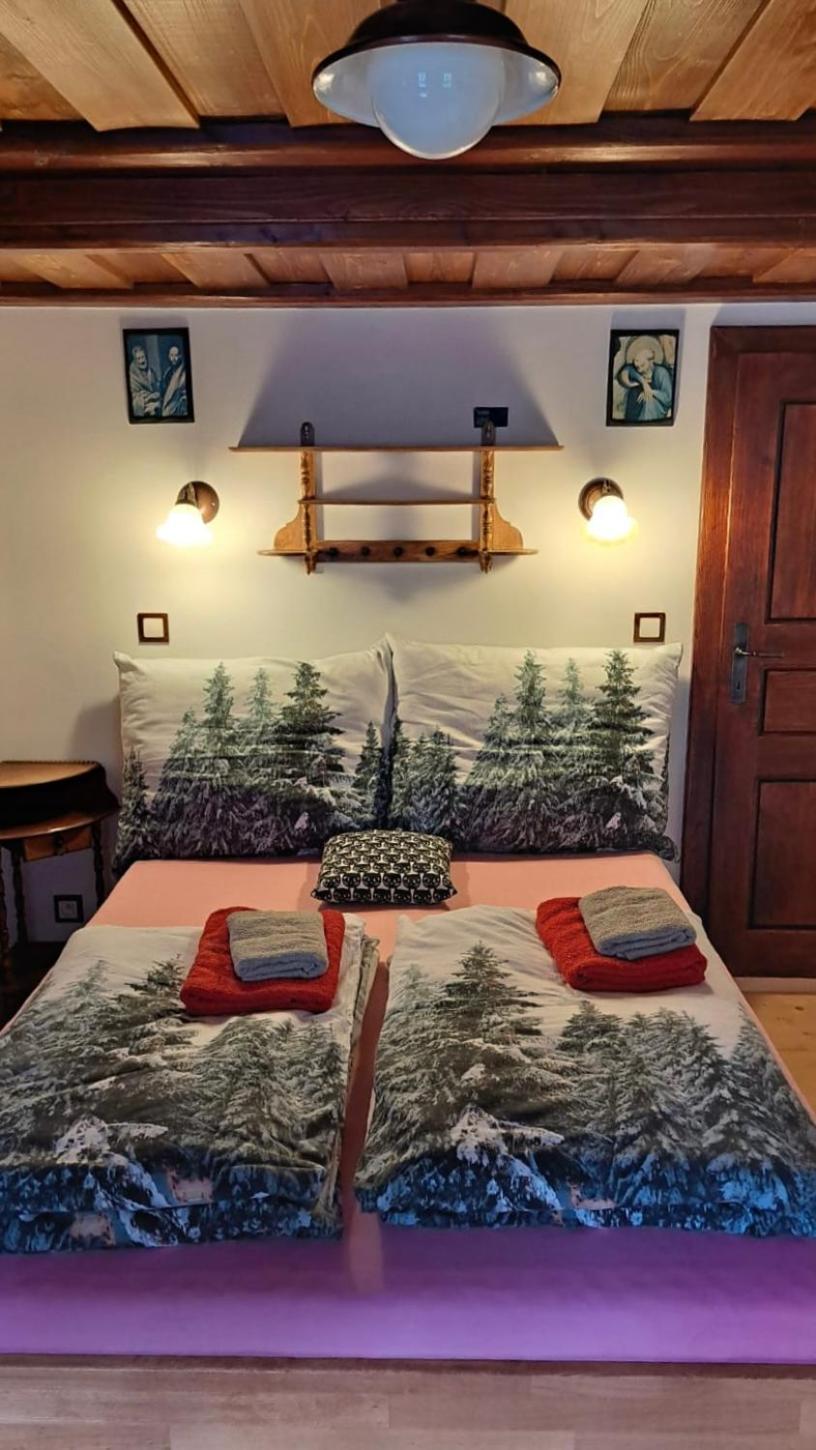 Penzion Pod Zeleznym Vrchem Chřibská Dış mekan fotoğraf